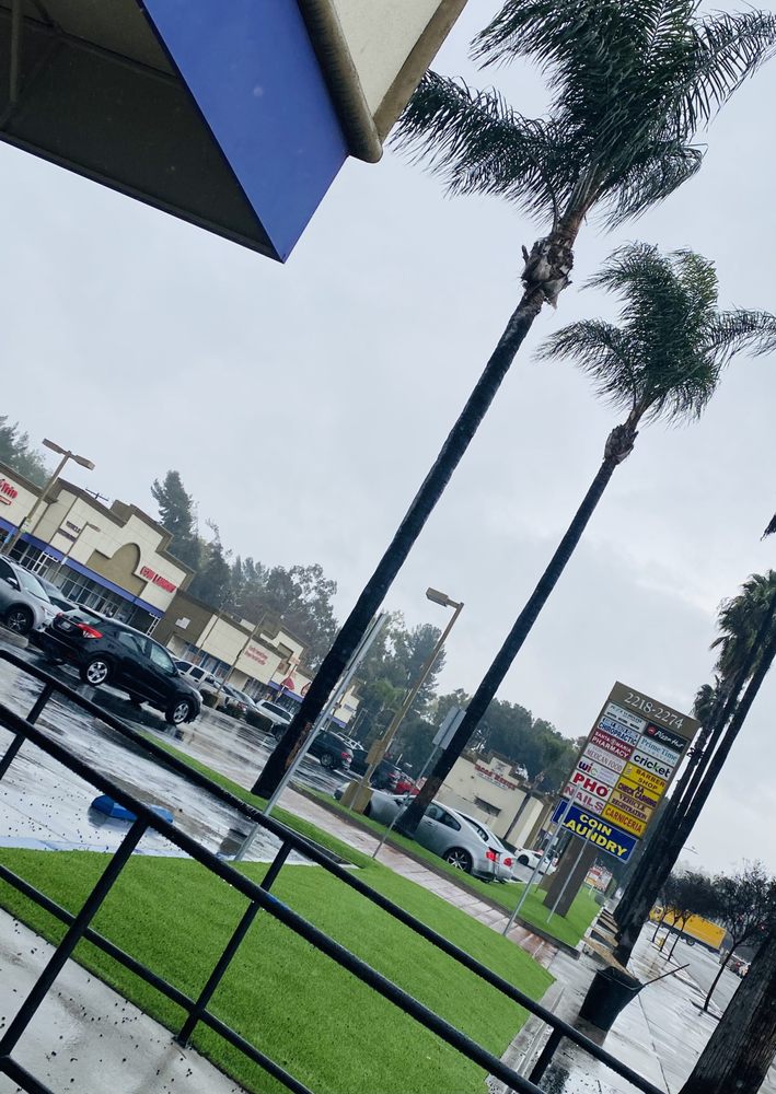 Tree trimming project by Juan's Gardening Service